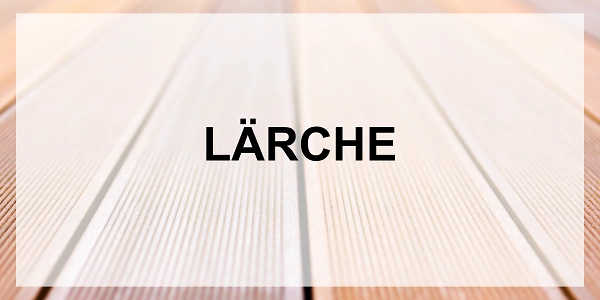 600x300 Lärche