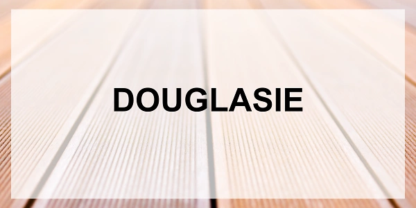 600x300 Douglasie