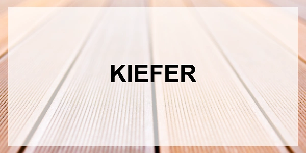 600x300 Kiefer