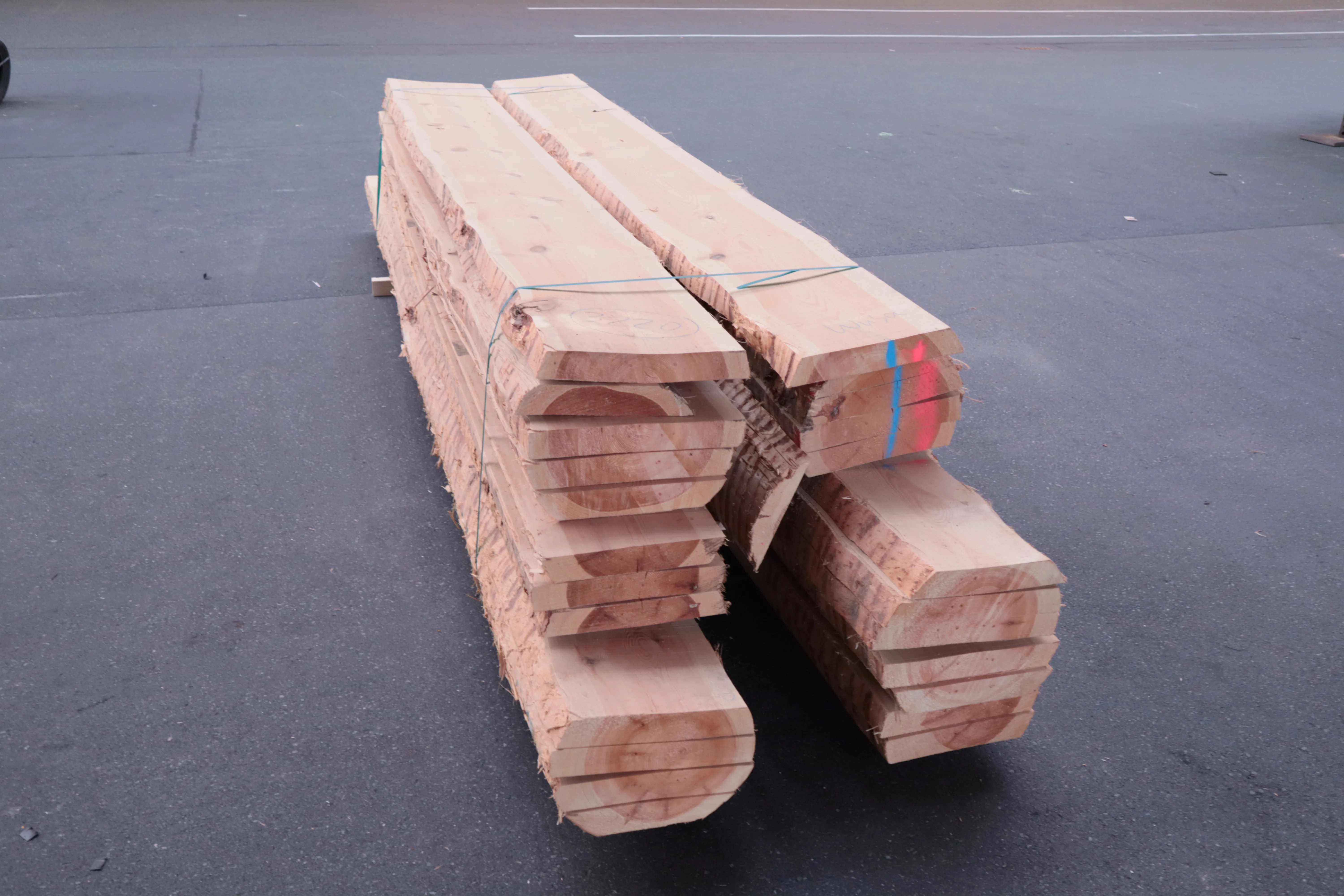 65mm Kiefer Stammware