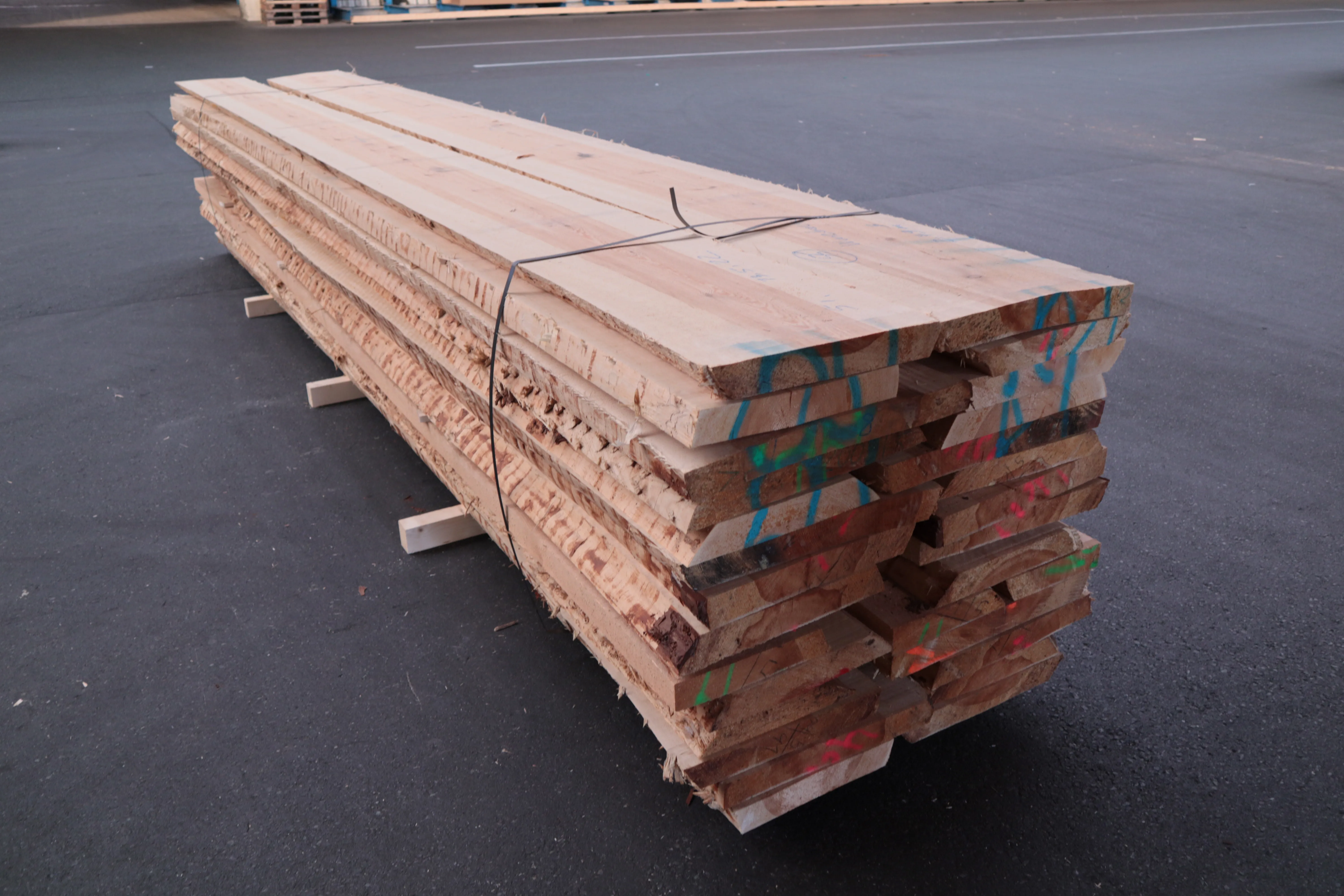 55mm Kiefer Stammware