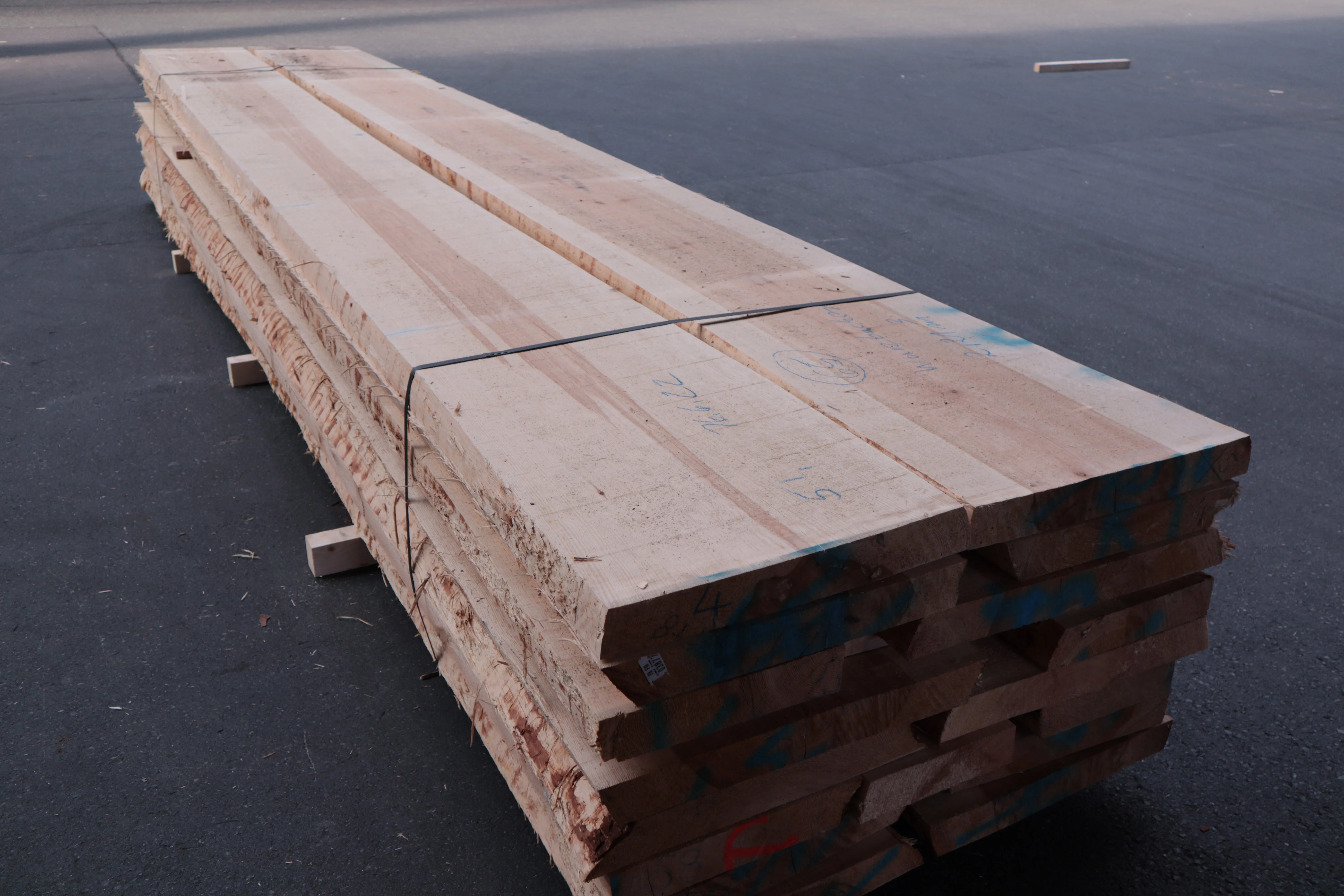 65mm Kiefer Stammware