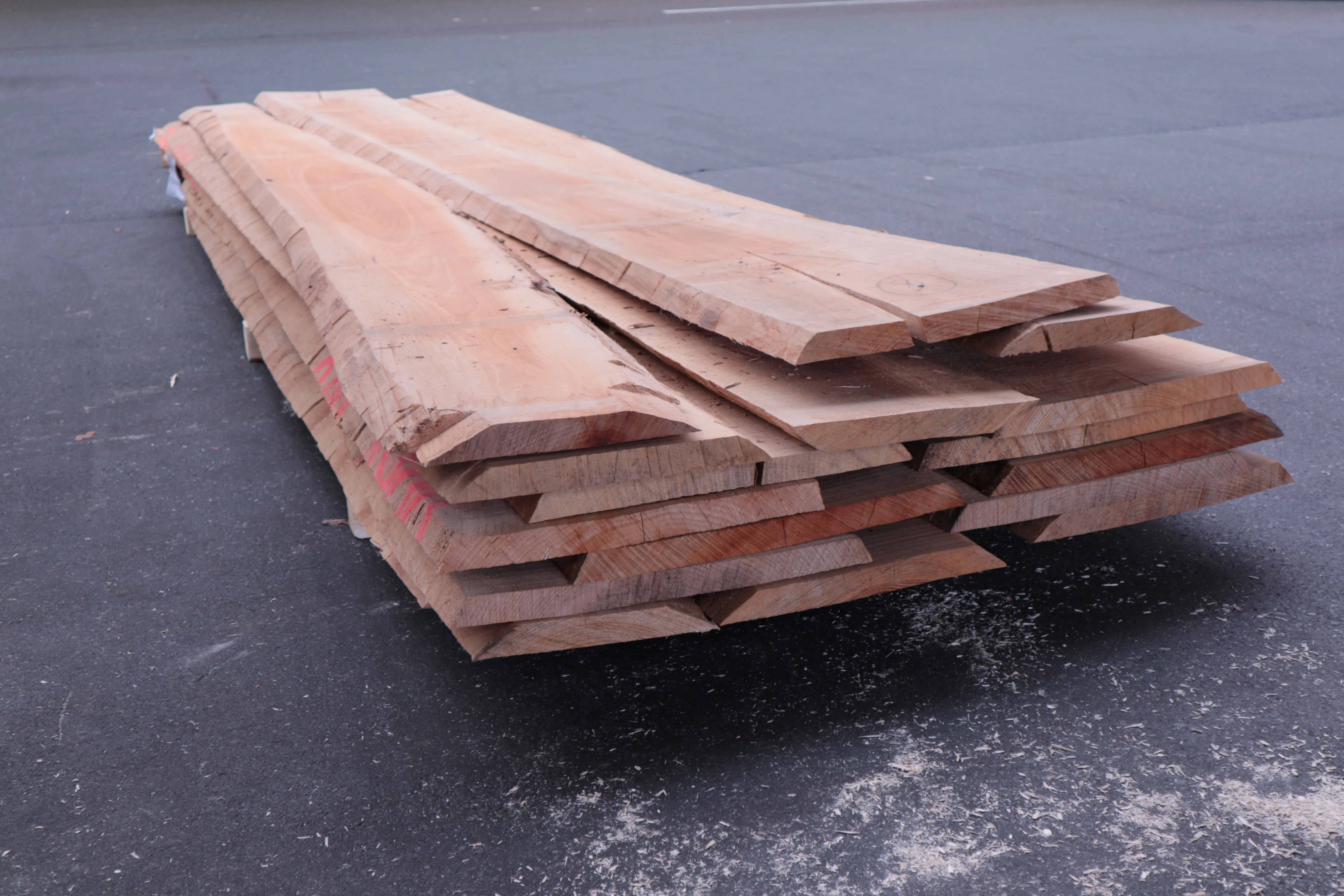 \\Ad.wurzbacher.de\systems\Allgeier\ShopBilder\Stammware\Eigenaufnahmen\32mm Buche gedämp. A-B Quali\IMG_2370.JPG