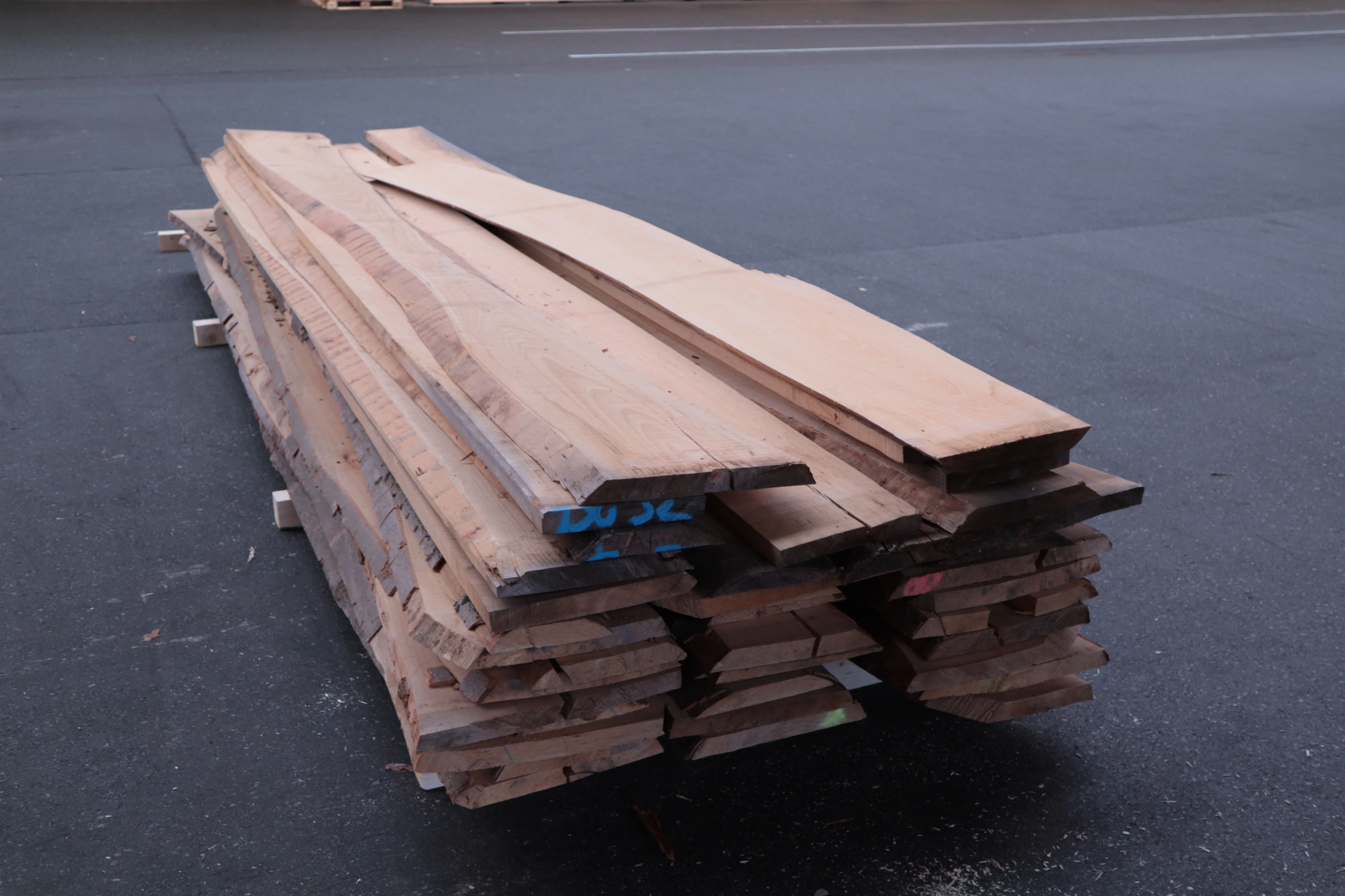 \\Ad.wurzbacher.de\systems\Allgeier\ShopBilder\Stammware\Eigenaufnahmen\32mm Buche nat. A-B Quali\IMG_2374.JPG