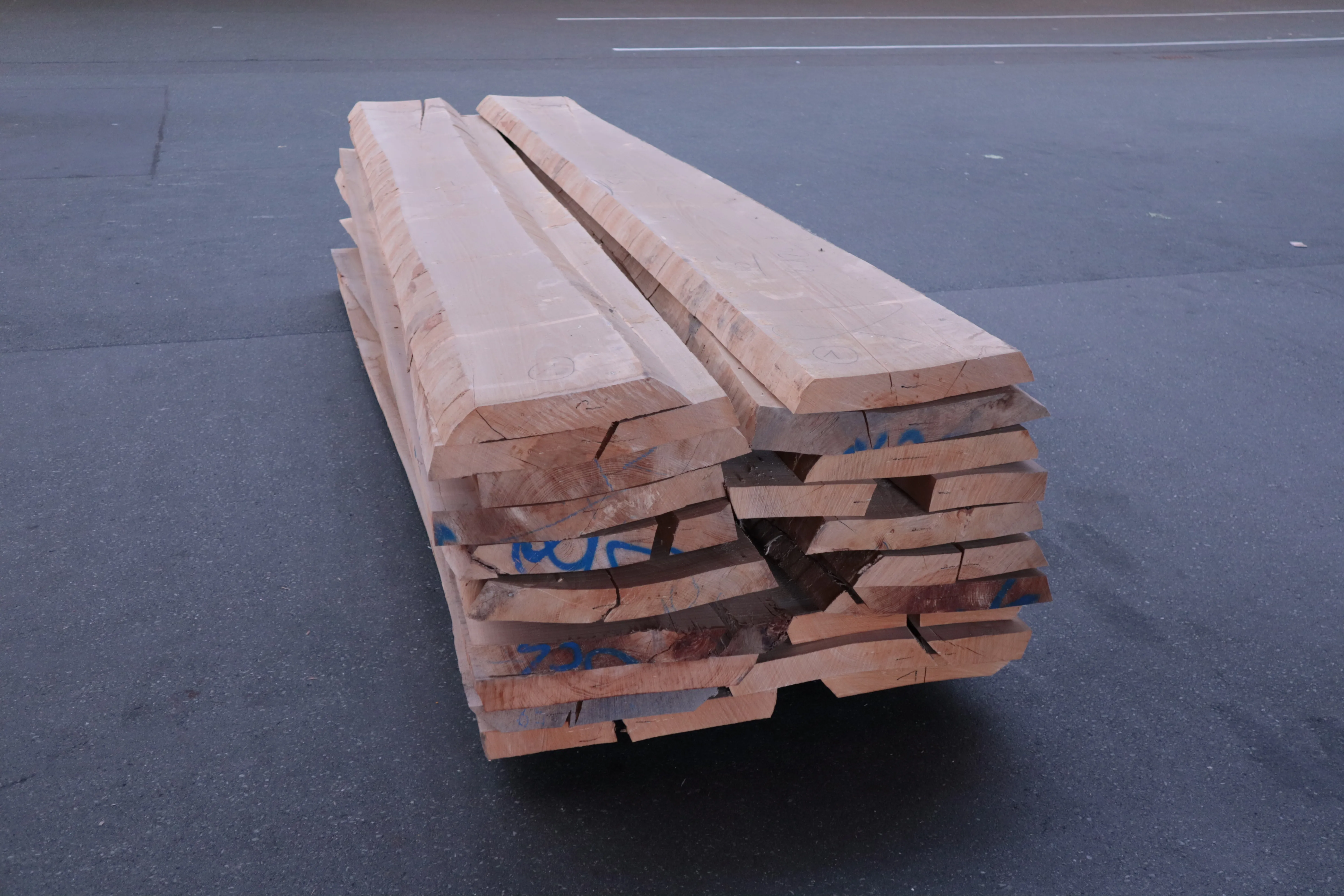 65mm Buche natur Stammware