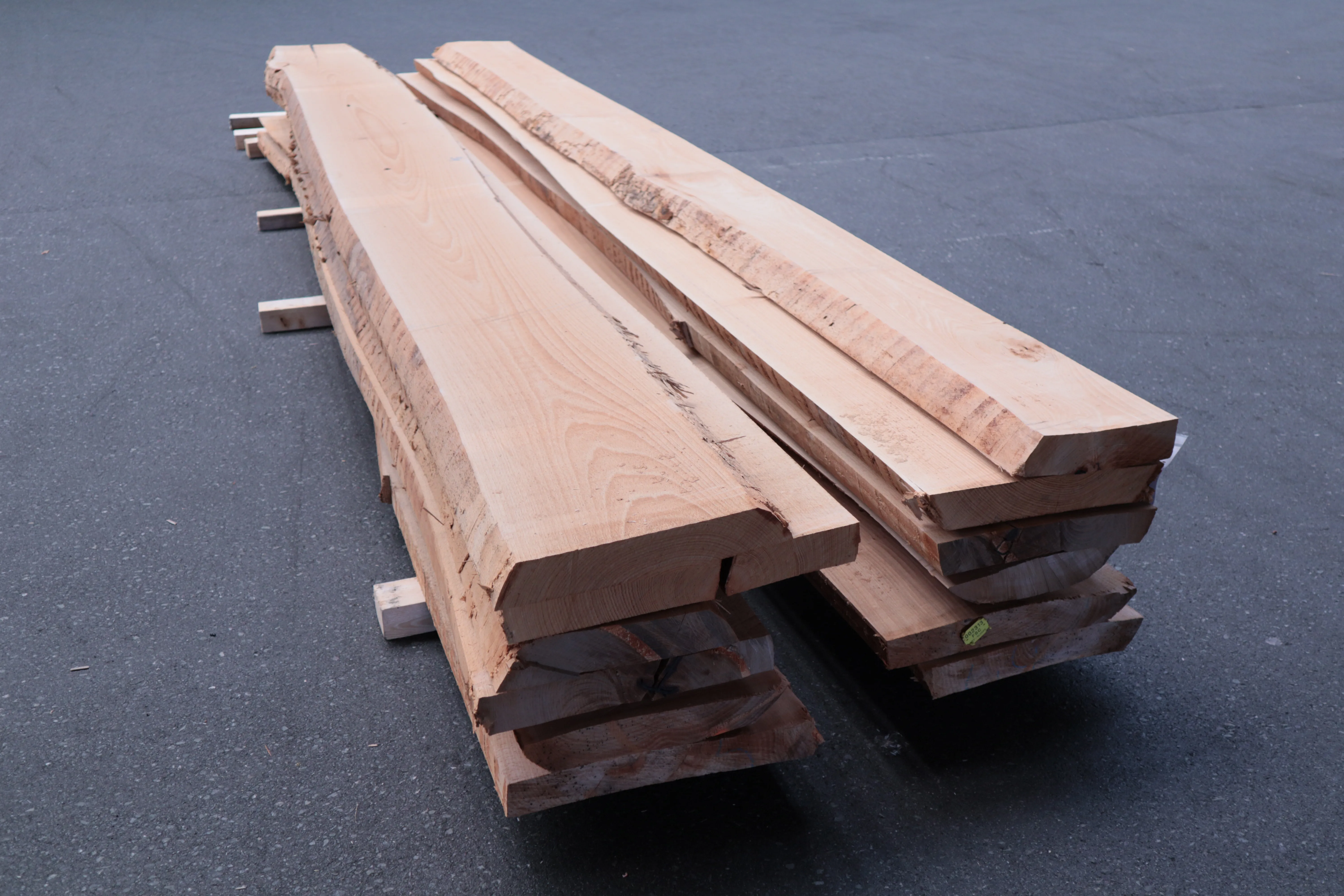 55mm Buche natur Stammware