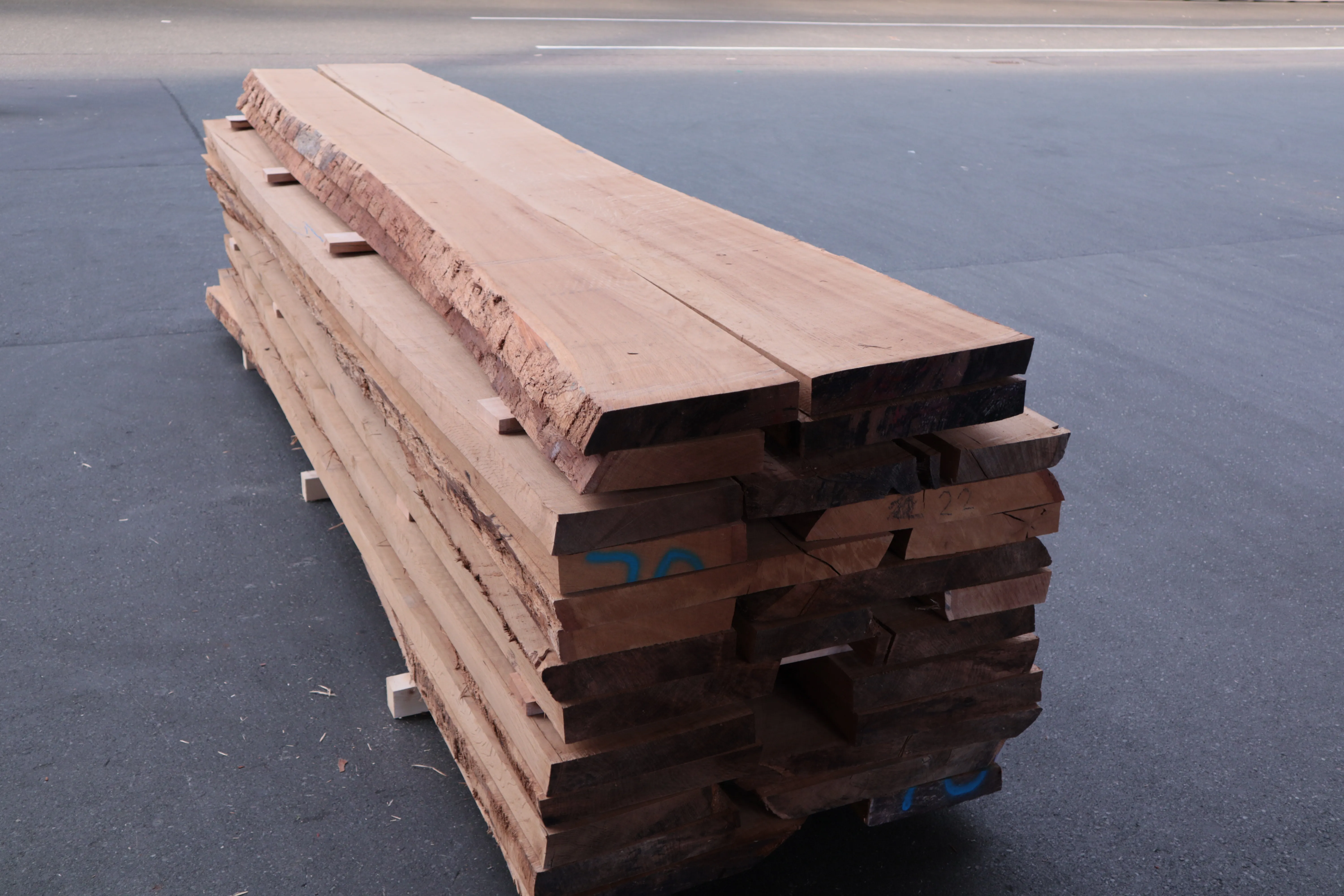 65mm Eiche Stammware