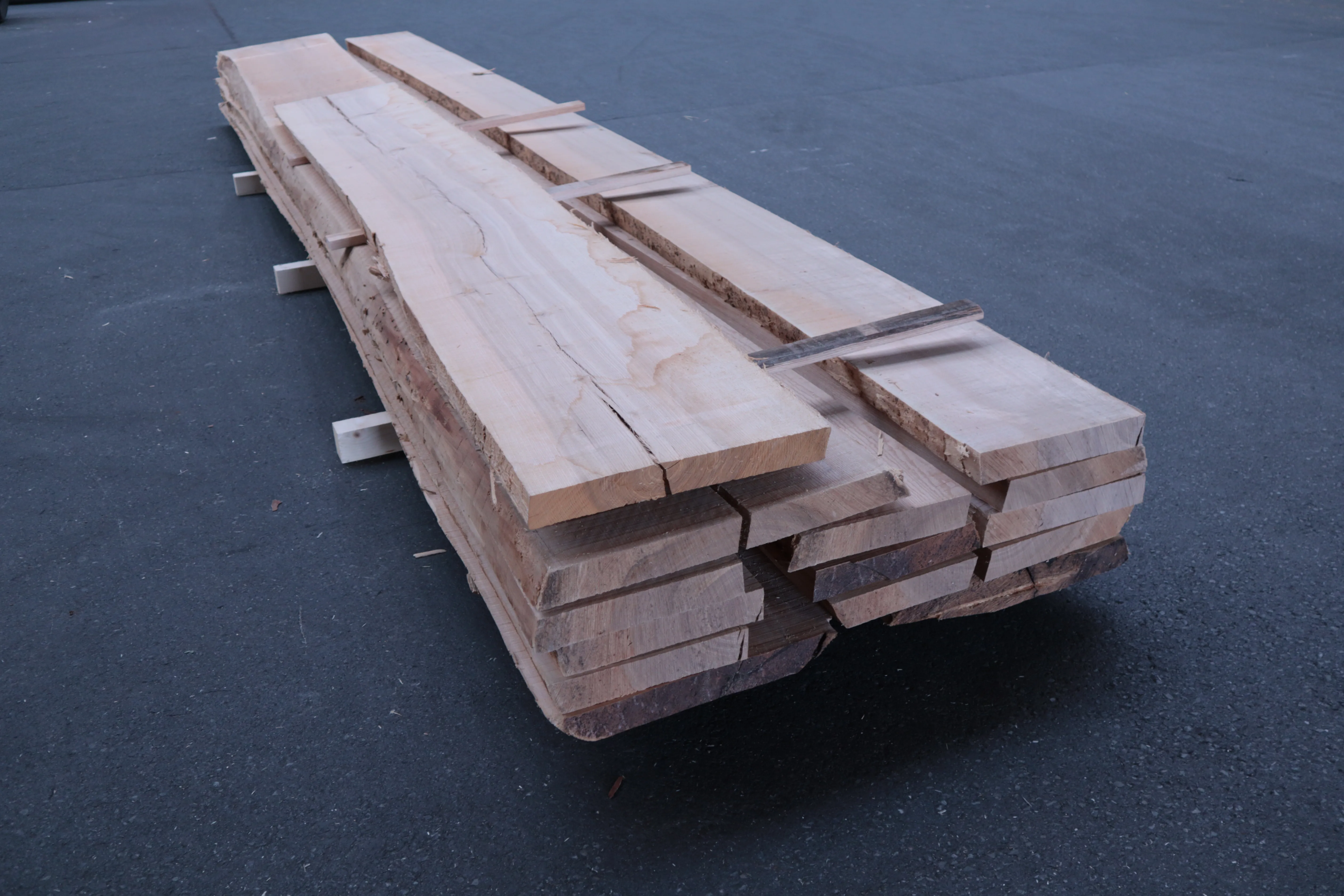 55mm Esche Stammware