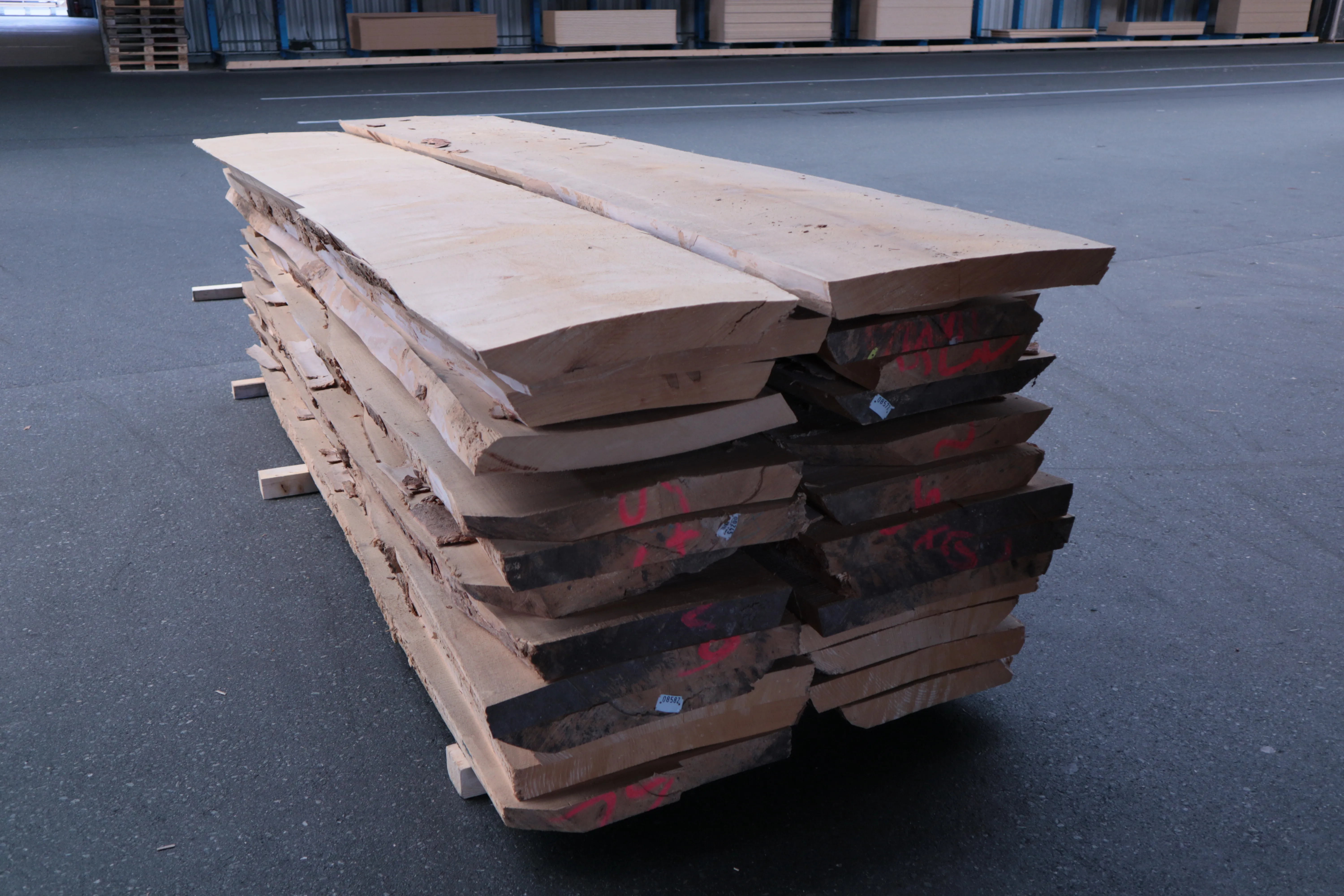 55mm Ahorn Stammware