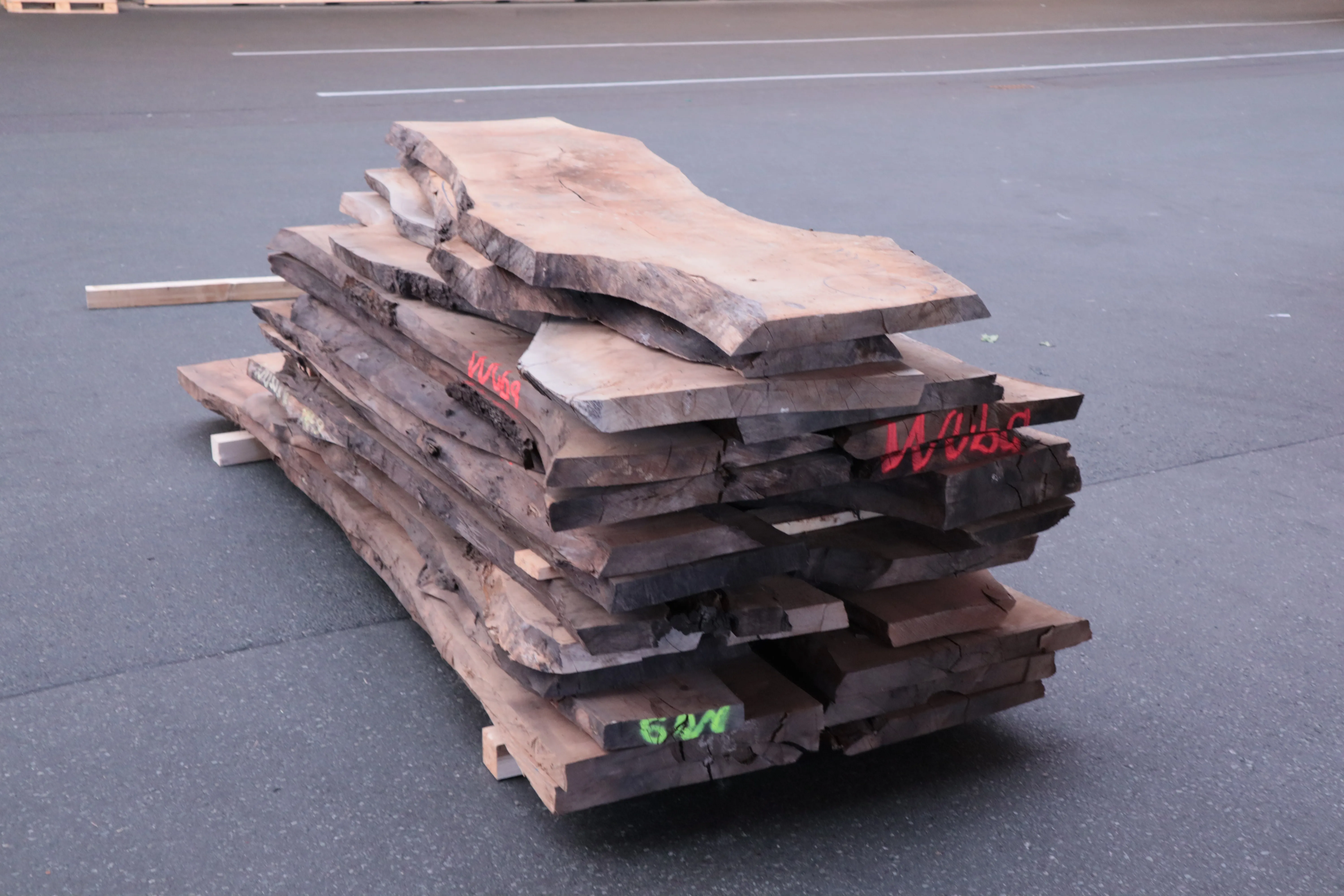 \\Ad.wurzbacher.de\systems\Allgeier\ShopBilder\Stammware\Eigenaufnahmen\52mm Nußbaum B-Quali\IMG_2514.JPG