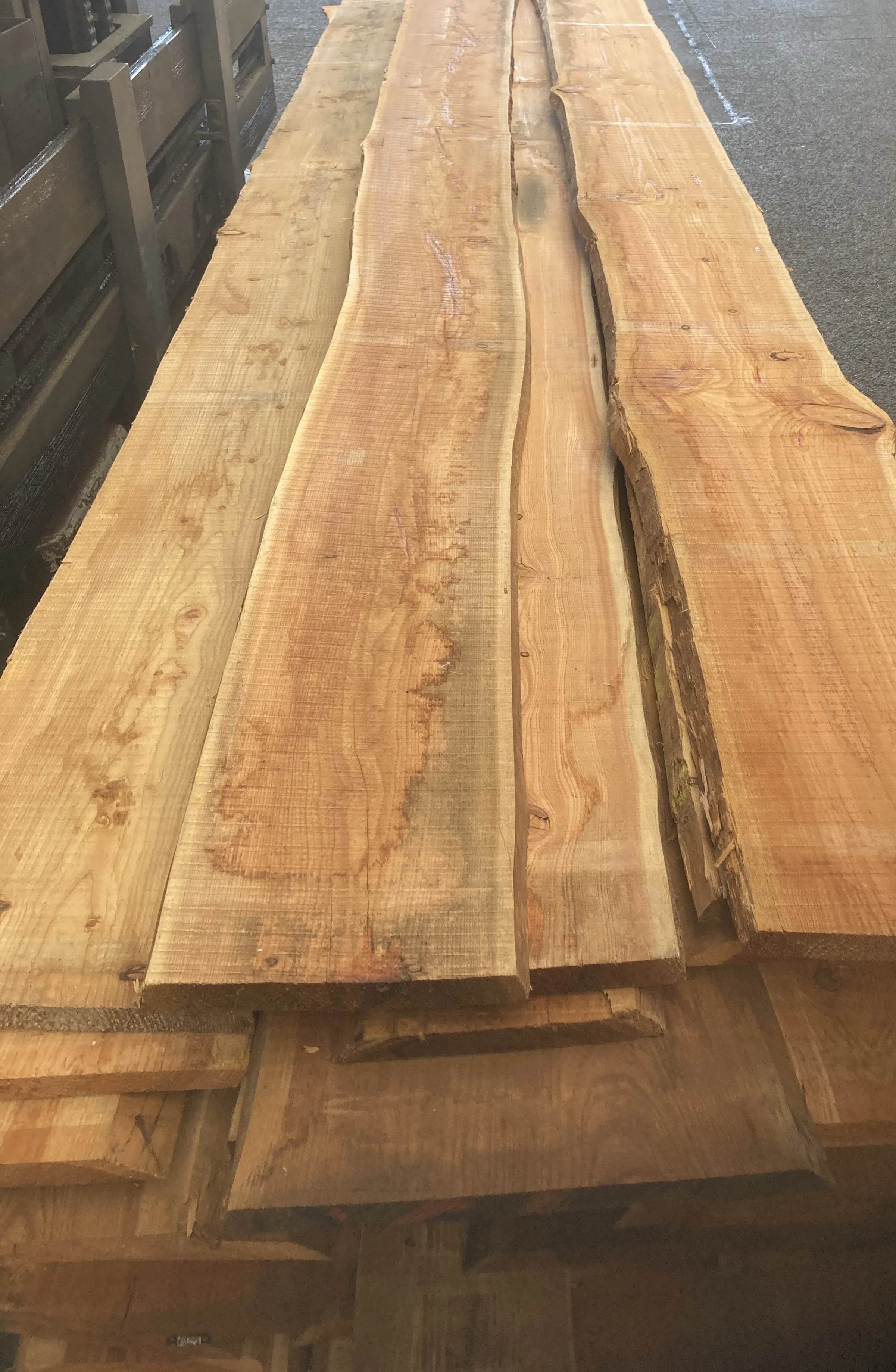 \\Ad.wurzbacher.de\systems\Allgeier\Shopbilder\Stammware\Eigenaufnahmen\32mm Lärche B-Qualität.JPG