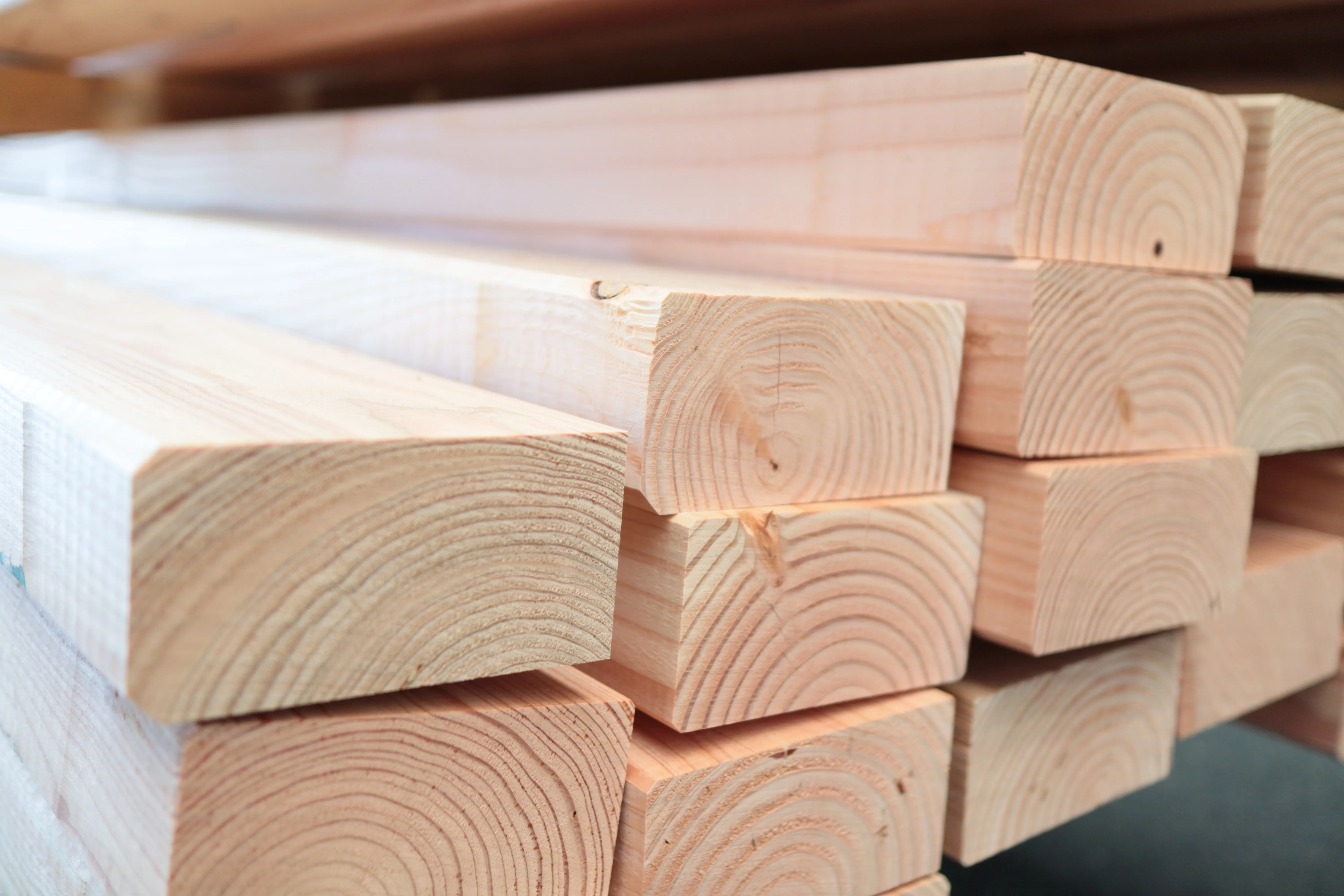 \\Ad.wurzbacher.de\systems\Allgeier\ShopBilder\Holzbau\Eigenaufnahmen\KVH Douglasie\IMG_4178.JPG