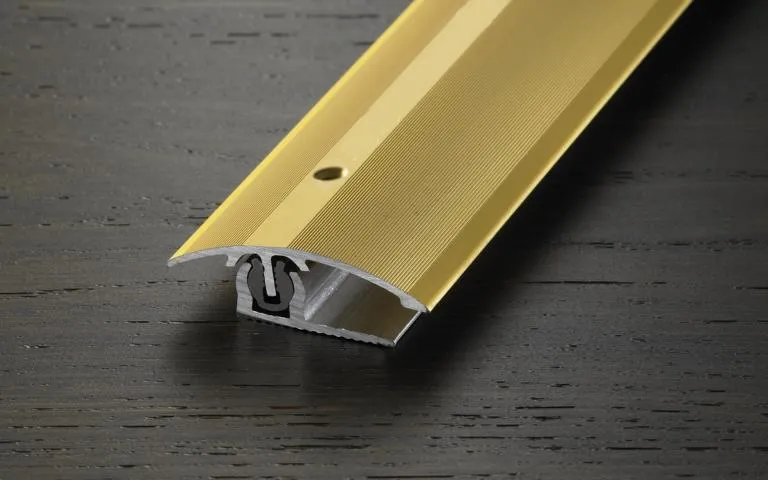 \\Ad.wurzbacher.de\systems\Allgeier\ShopBilder\Boden_Wand_Decke\Proline\aktuell verwendet\PROVARIO Uni Anpassung 2-18mm_Alu elox. Champagne.JPG