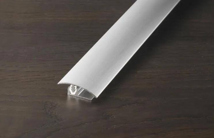 \\Ad.wurzbacher.de\systems\Allgeier\ShopBilder\Boden_Wand_Decke\Proline\aktuell verwendet\PROVARIOclip Uni Anpassung Höhe 2-18mm_Alu gebuerstet_elox. Silber.JPG