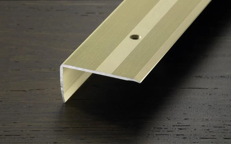 \\Ad.wurzbacher.de\systems\Allgeier\ShopBilder\Boden_Wand_Decke\Proline\aktuell verwendet\PROSTEP 45 x 23 versenkt gebohrt_elox. Champagne.JPG