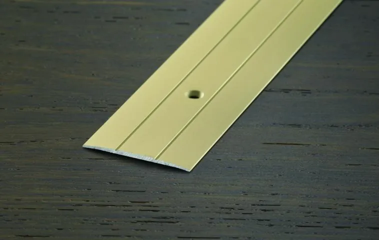 \\Ad.wurzbacher.de\systems\Allgeier\ShopBilder\Boden_Wand_Decke\Proline\aktuell verwendet\PROTRANS  38mm_gelocht_eloxiert Champagne.JPG