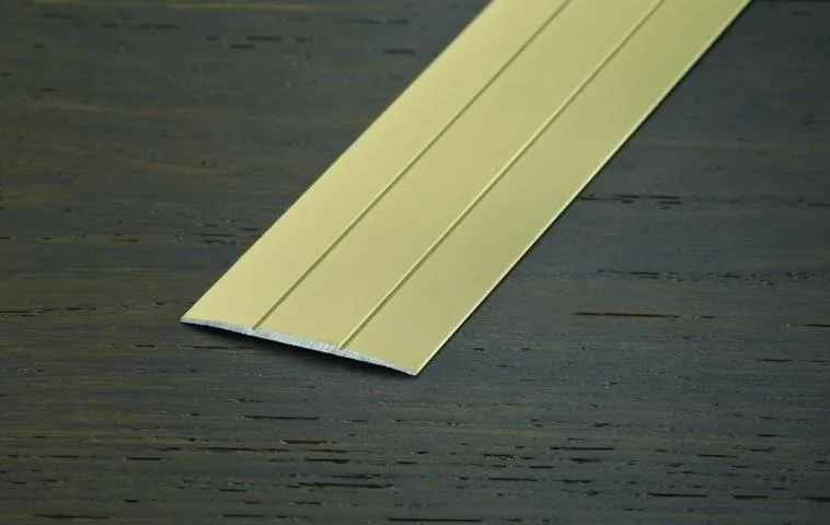 \\Ad.wurzbacher.de\systems\Allgeier\ShopBilder\Boden_Wand_Decke\Proline\aktuell verwendet\PROTRANS  38mm_selbstklebend_eloxiert Champagne.JPG