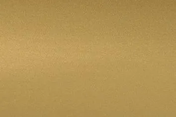 Protrans &Uuml;bergangsprofil 30mm Gold