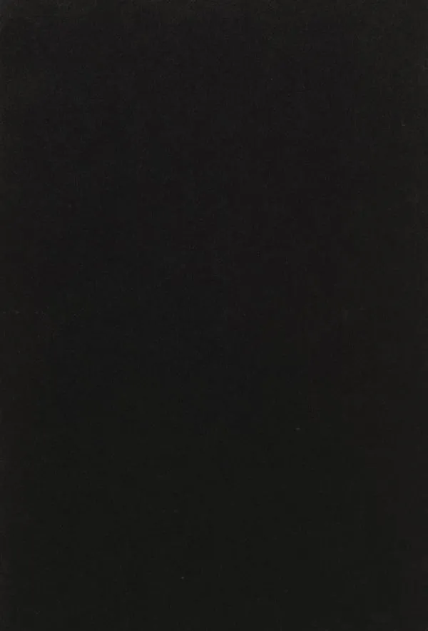 \\Ad.wurzbacher.de\systems\Allgeier\ShopBilder\Holz- und Plattenwerkstoffe\Kronospan\Oberflächen\K800_0190-PE_Schwarz.JPG