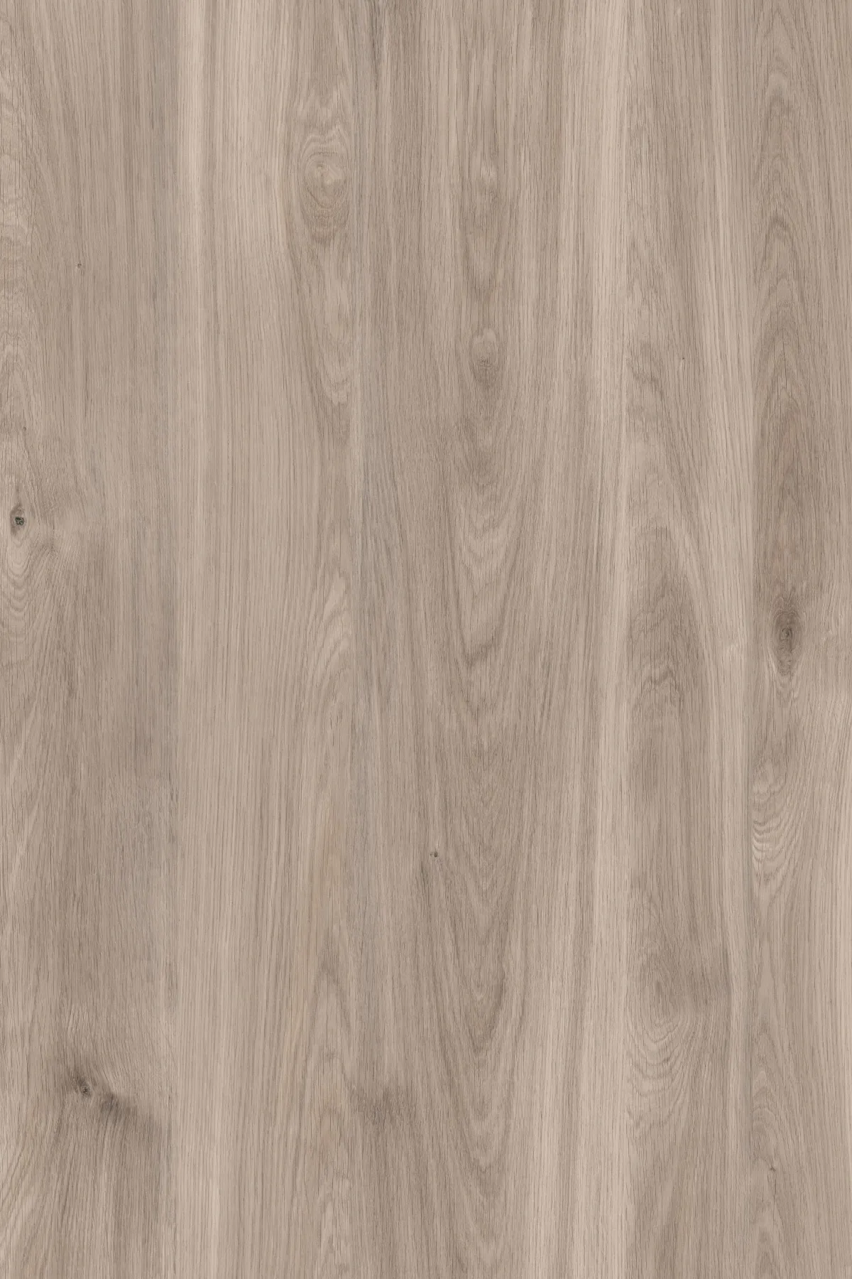 19mm Dekorspanpl. Greige Castello Oak
