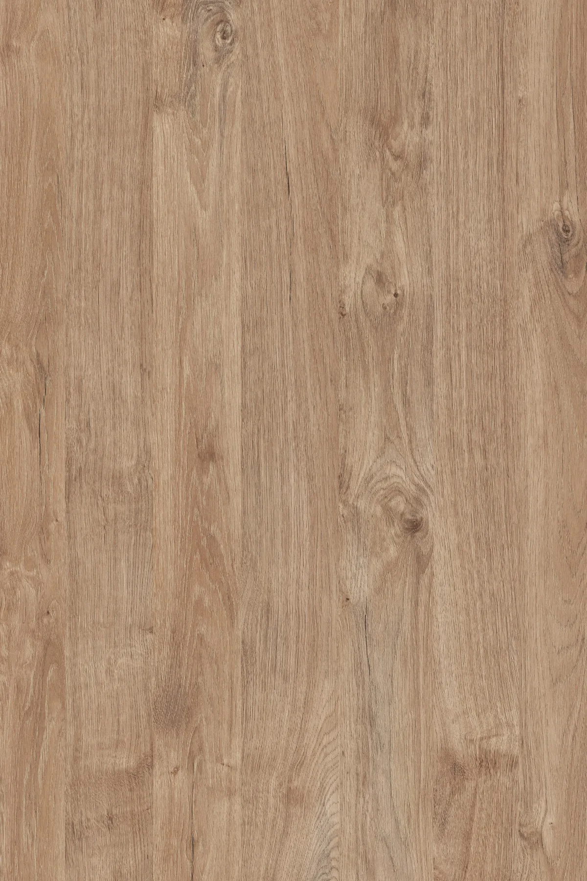 19mm Dekorspanpl. Gold Harbour Oak