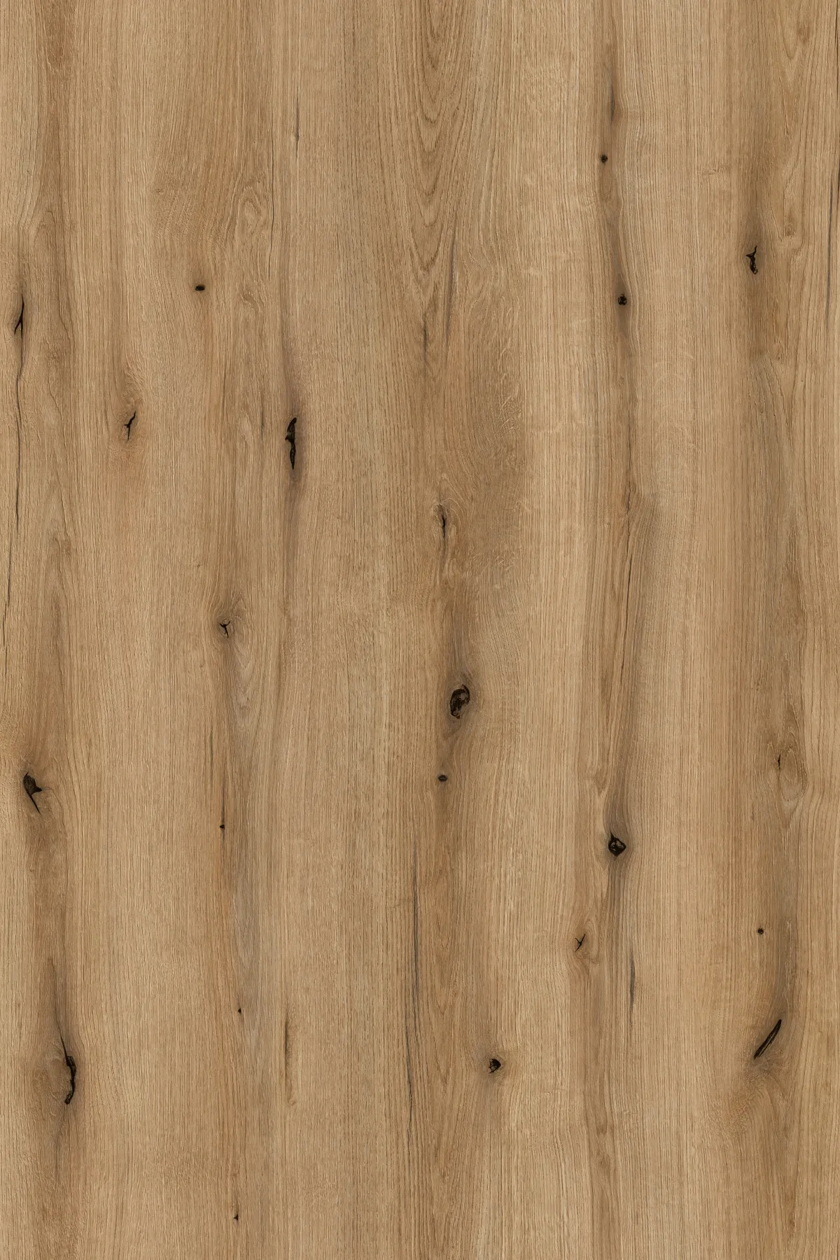 19mm Dekorspanpl. Coast Evoke Oak