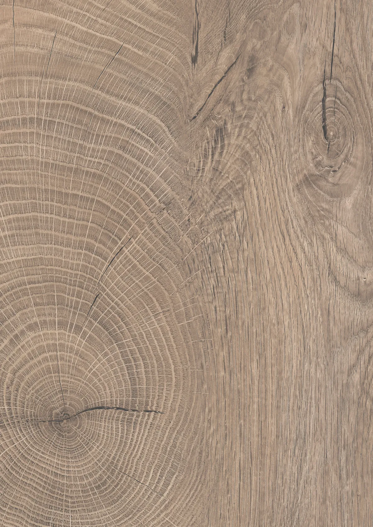 19mm Dekorspan Oak Endgrain Raw