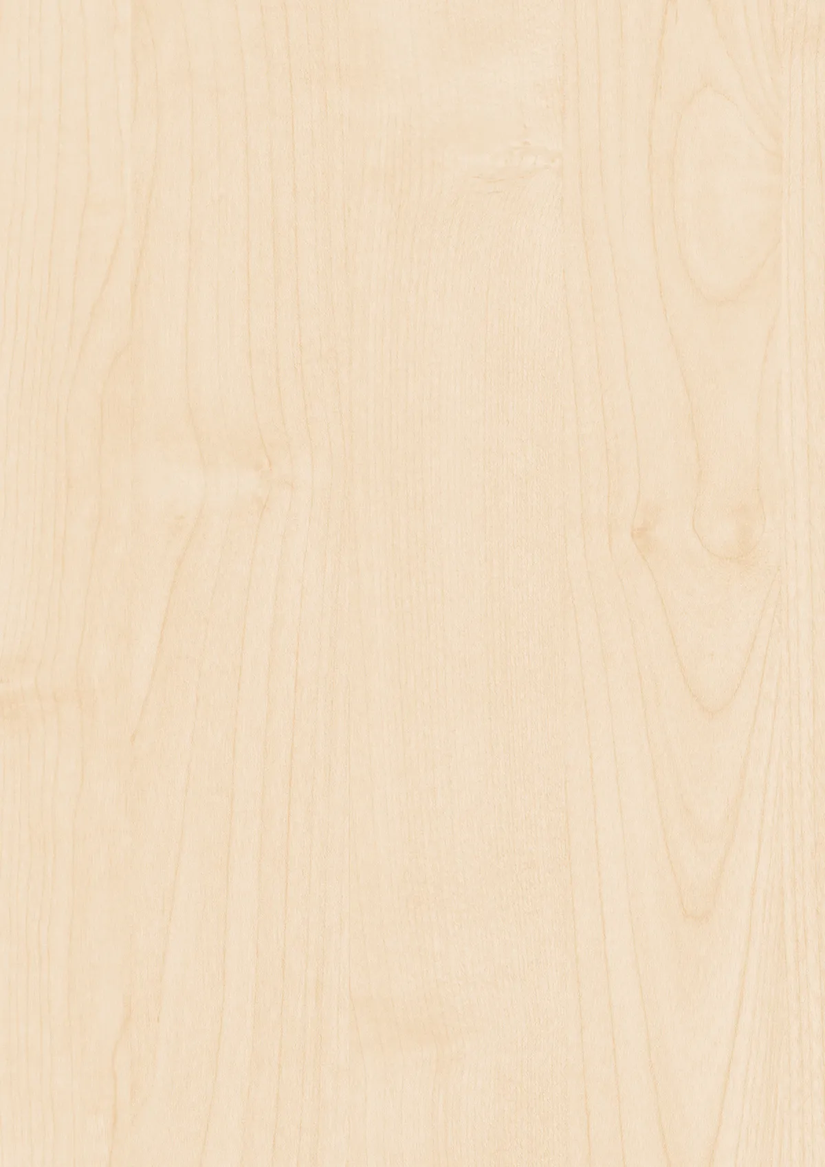 19mm Dekorspan Maple Murnau