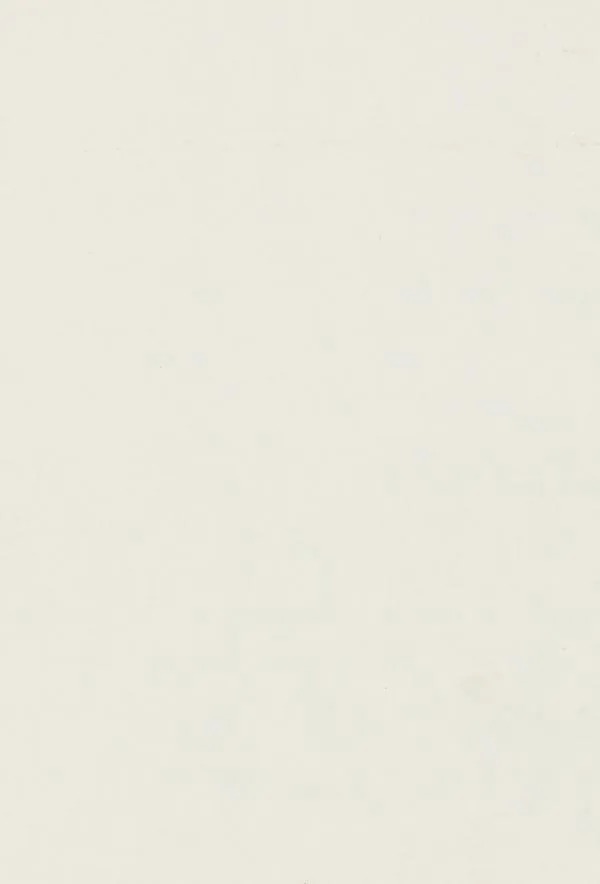 19mm Dekorspan Frontwei&szlig; glatt Standard