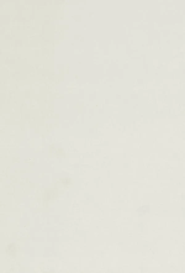 \\Ad.wurzbacher.de\systems\Allgeier\ShopBilder\Holz- und Plattenwerkstoffe\Kronospan\Oberflächen\K800_0110-SM_Weiss.JPG