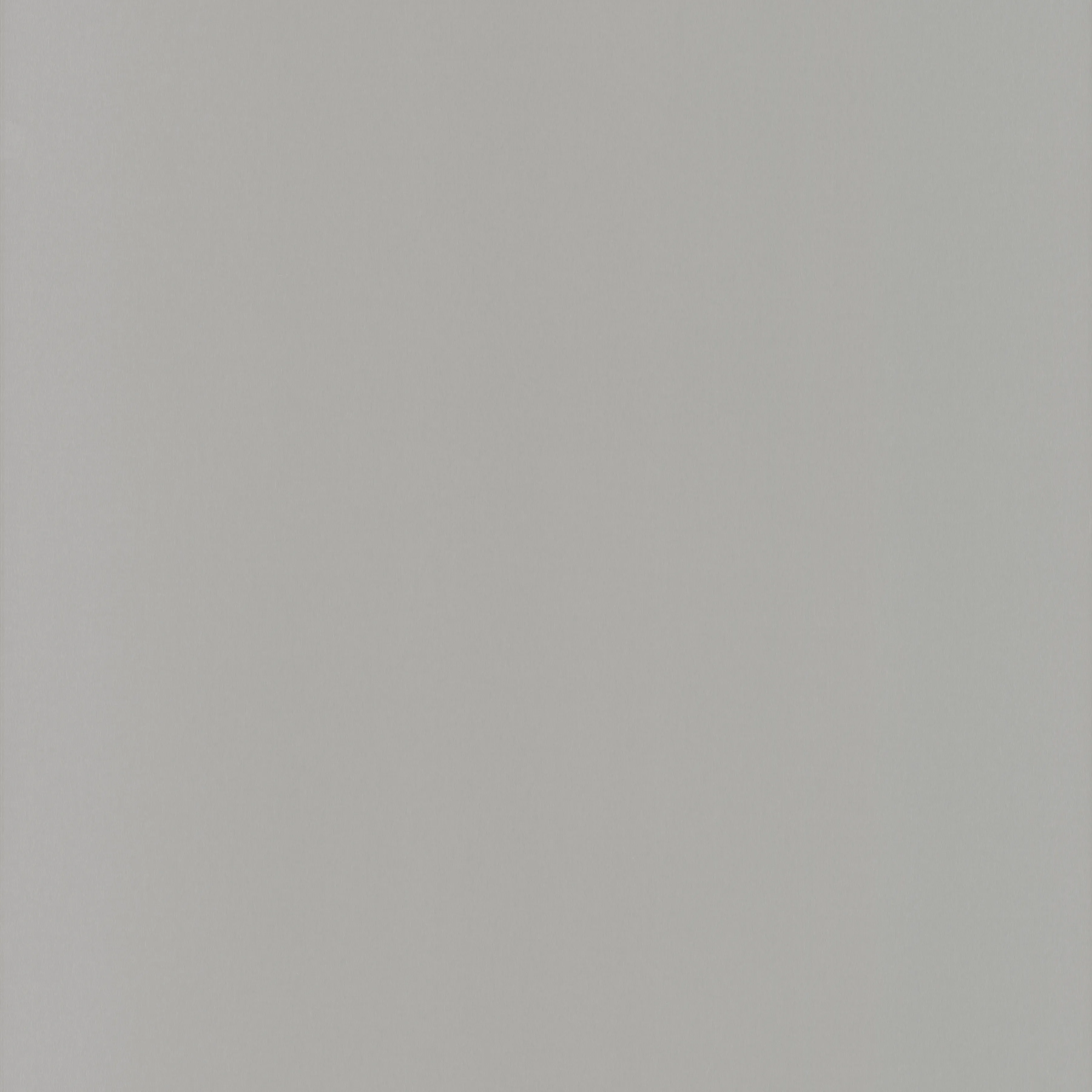 \\Ad.wurzbacher.de\systems\Allgeier\ShopBilder\Holz- und Plattenwerkstoffe\Pfleiderer\M80000_MEALU1_Echt Alu 1 Edelstahl.jpg