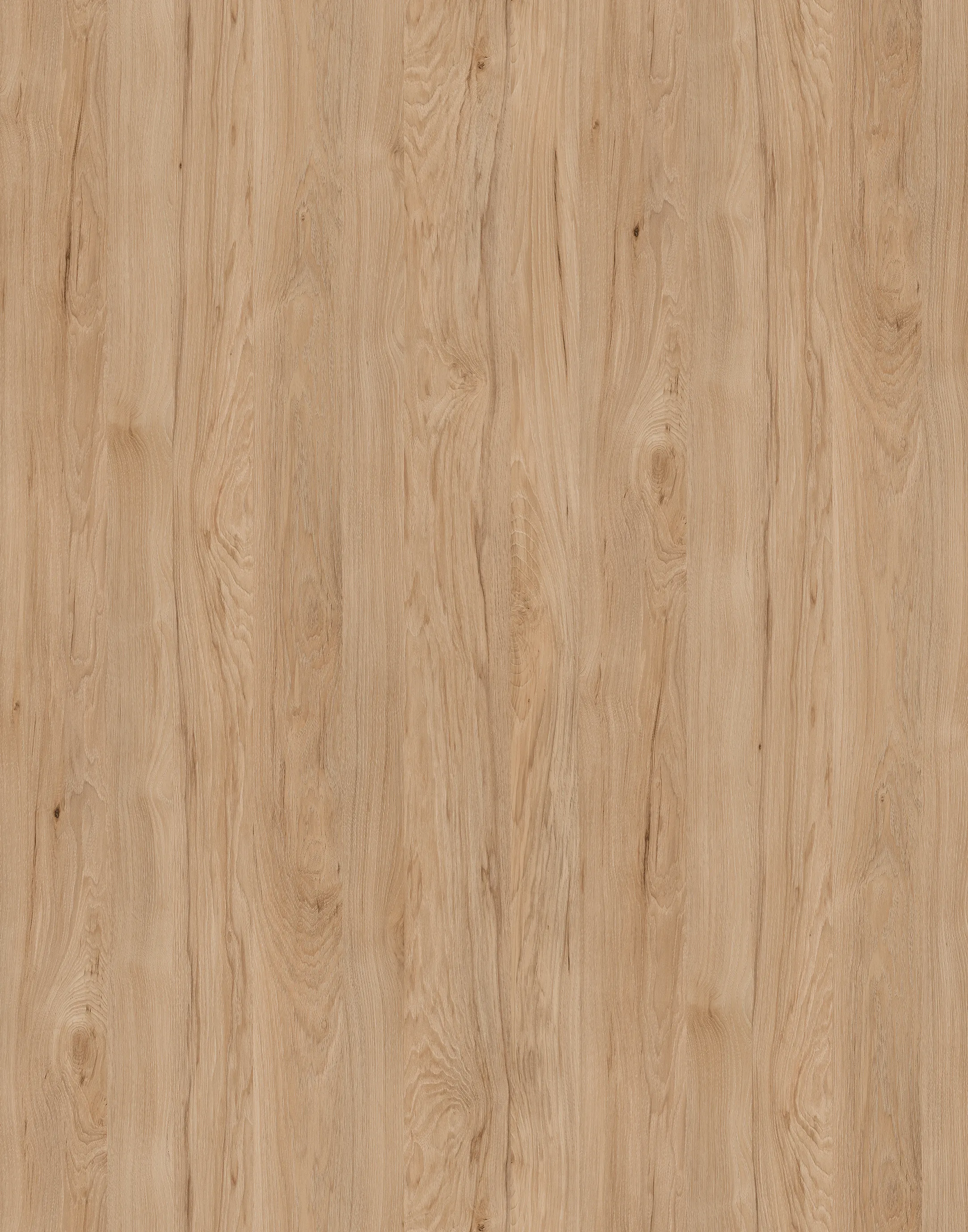 23x2mm ABS-Kante HD24086           SP