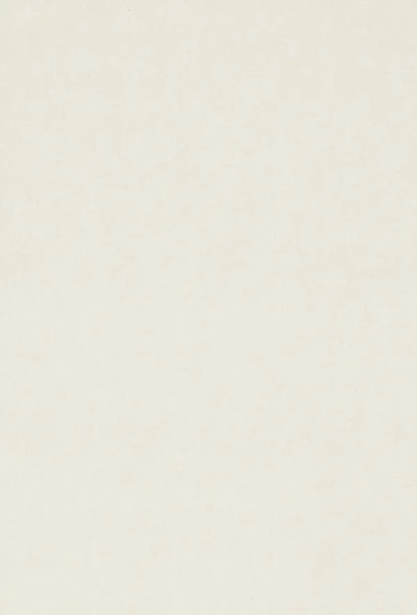 \\ad.wurzbacher.de\systems\Allgeier\Shopbilder\Holz- und Plattenwerkstoffe\Kronospan\0101-PE_Weiss.JPG