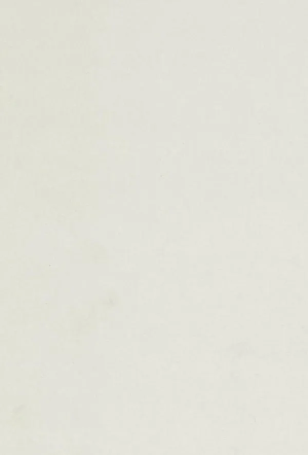 \\Ad.wurzbacher.de\systems\Allgeier\ShopBilder\Holz- und Plattenwerkstoffe\Kronospan\0110-SM_Weiss.JPG