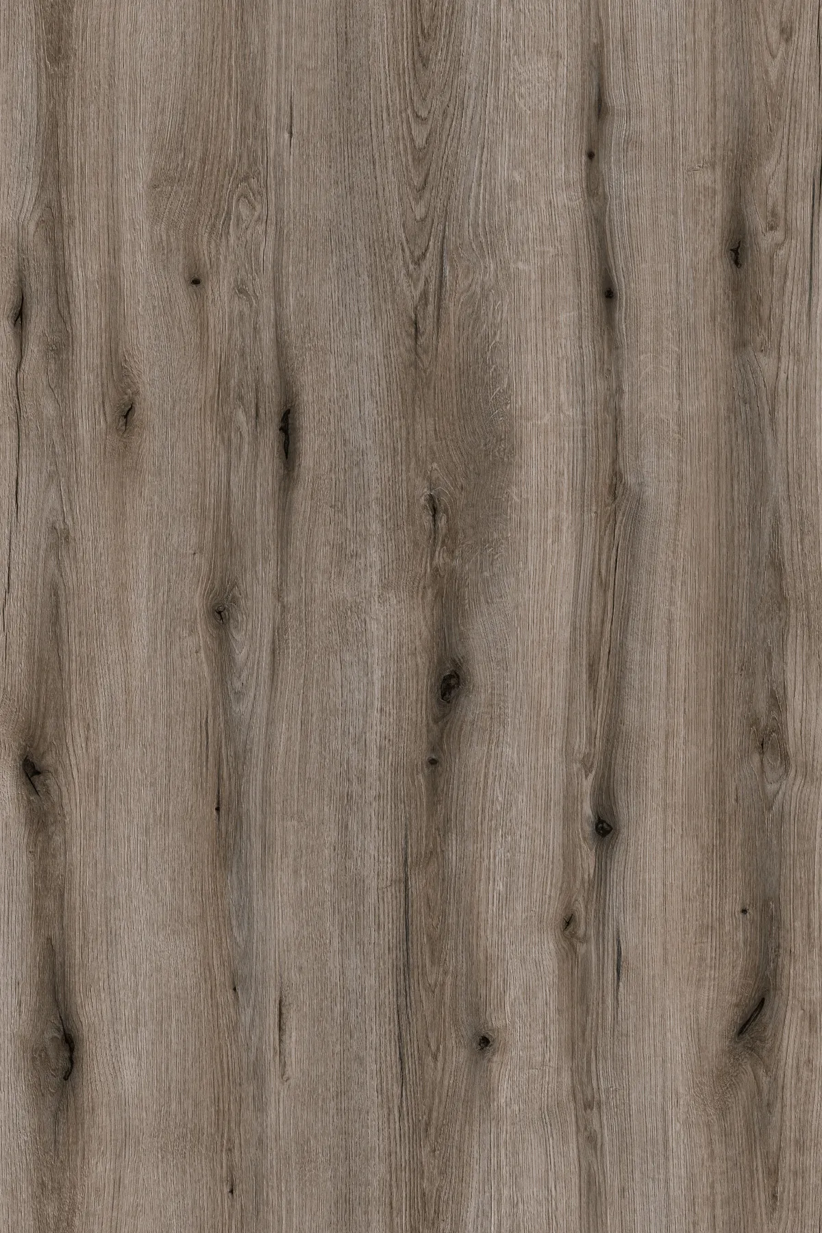 \\Ad.wurzbacher.de\systems\Allgeier\ShopBilder\Holz- und Plattenwerkstoffe\Kronospan\K366.jpg