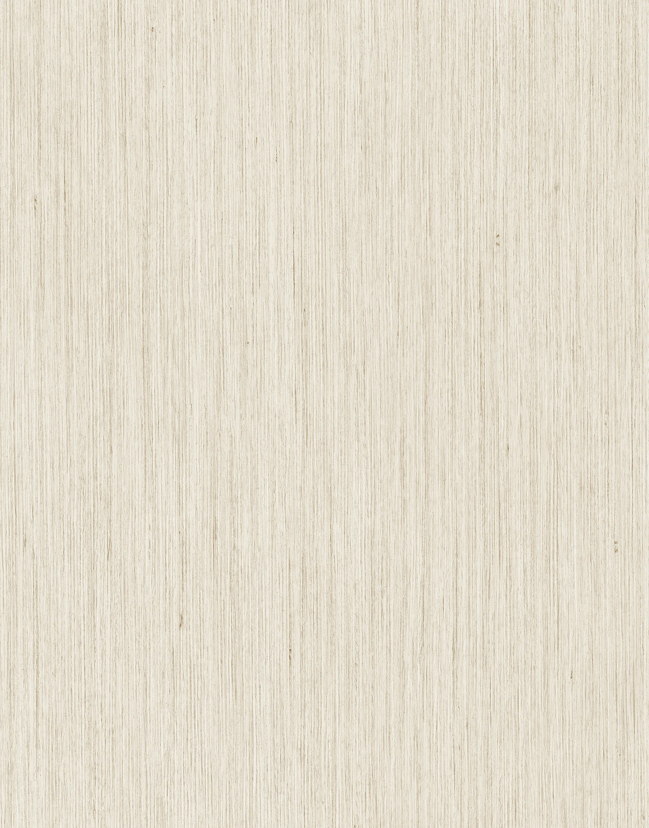 23x2mm ABS-Kante HD298547             SP