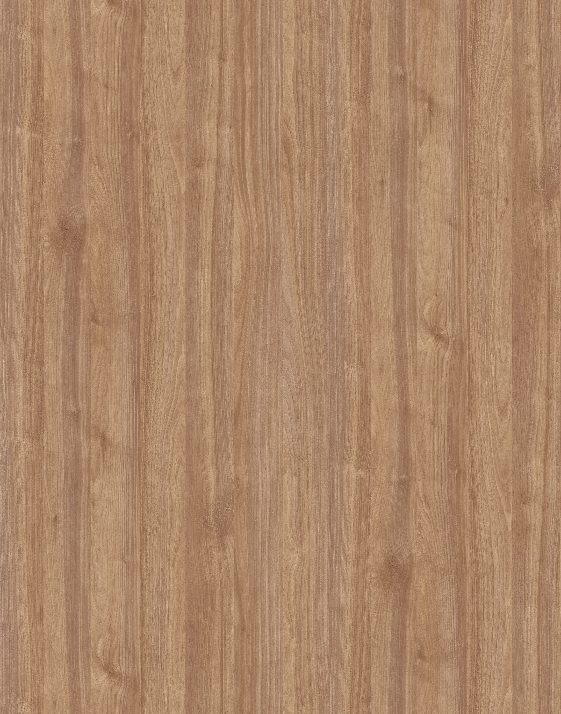 0,8mm Schichtst. Light Select Walnut SP