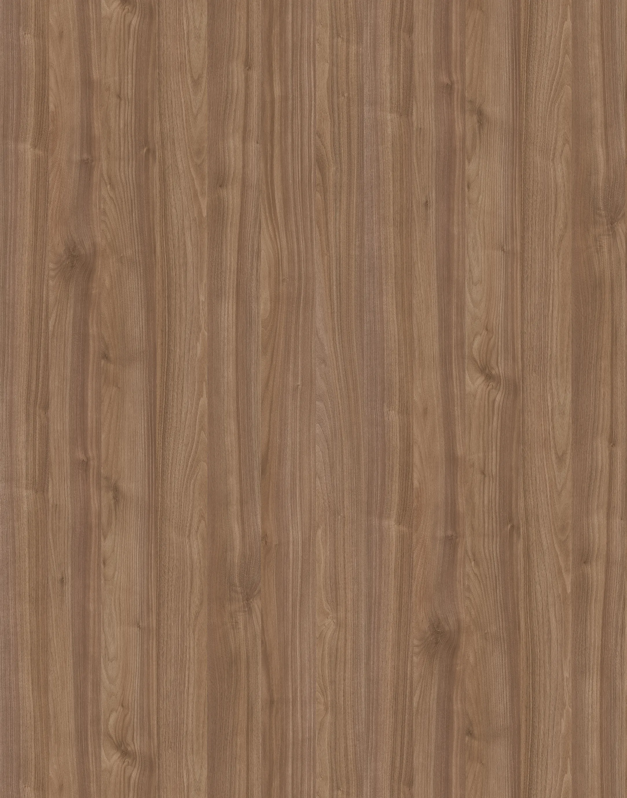 \\Ad.wurzbacher.de\systems\Allgeier\ShopBilder\Holz- und Plattenwerkstoffe\Kronospan\K009 PW.jpg