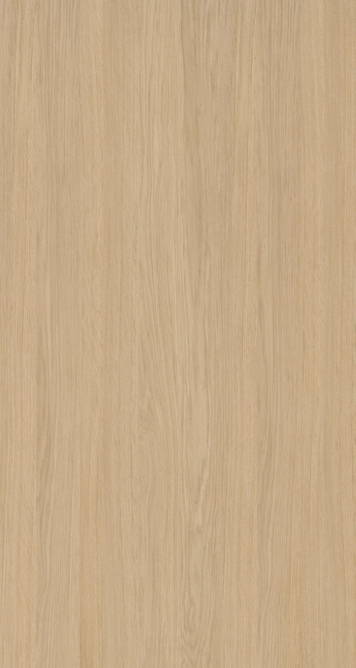 \\Ad.wurzbacher.de\systems\Allgeier\Shopbilder\Holz- und Plattenwerkstoffe\Kaindl\Furnierte Platten\Furnierplatte Eiche europäisch.jpg