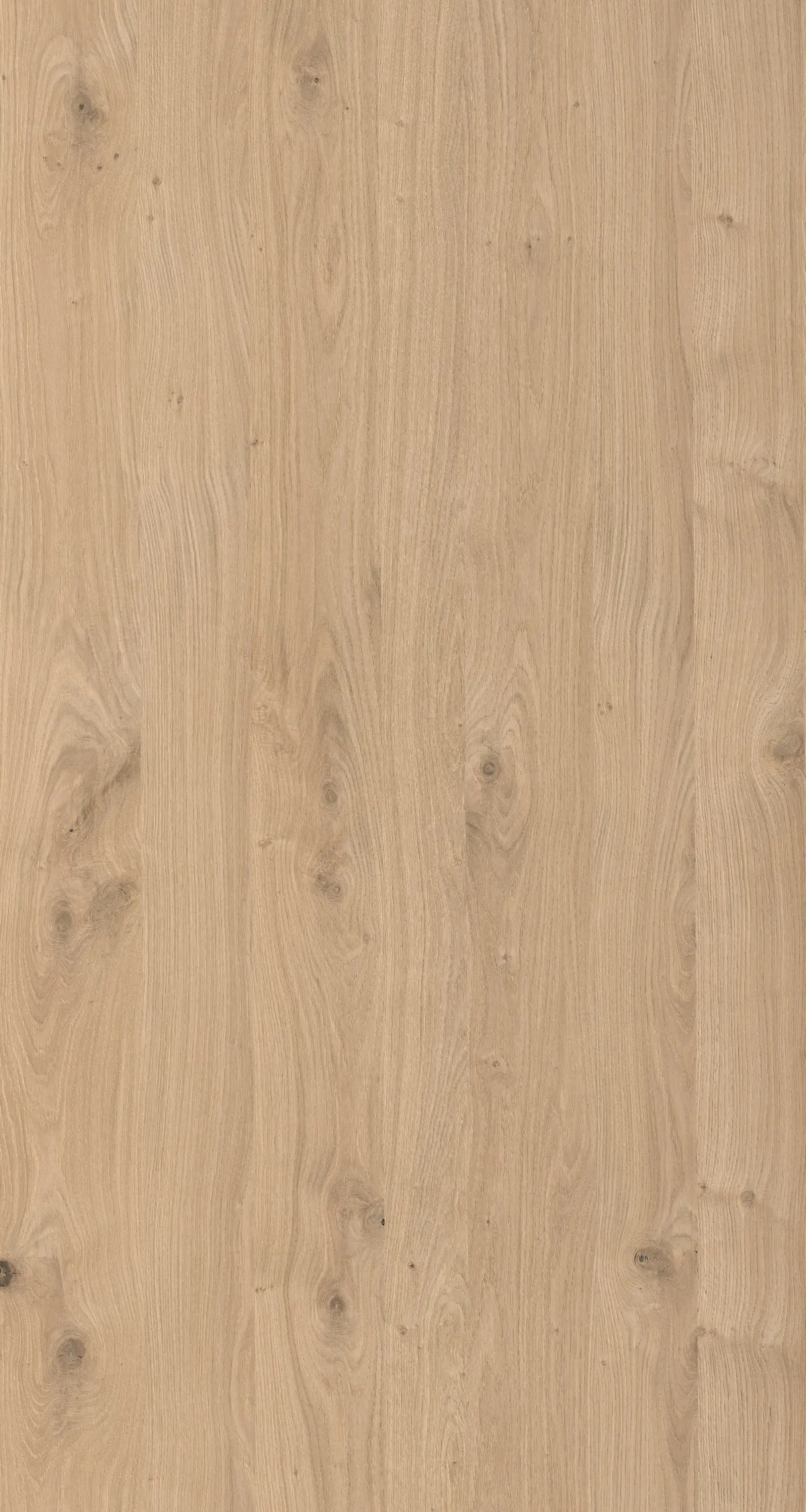 19mm Furnierspan Eiche astig