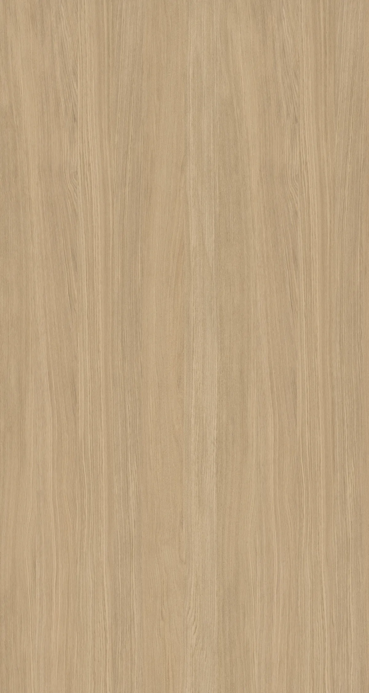 19mm Furnierspan Eiche schlicht