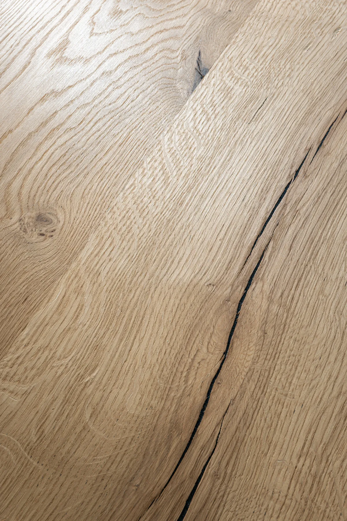 19mm Furnierspan Eiche Wild