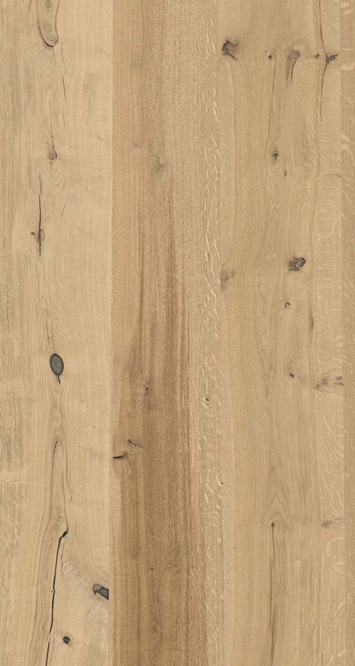 19mm Furnierspan Eiche Wild