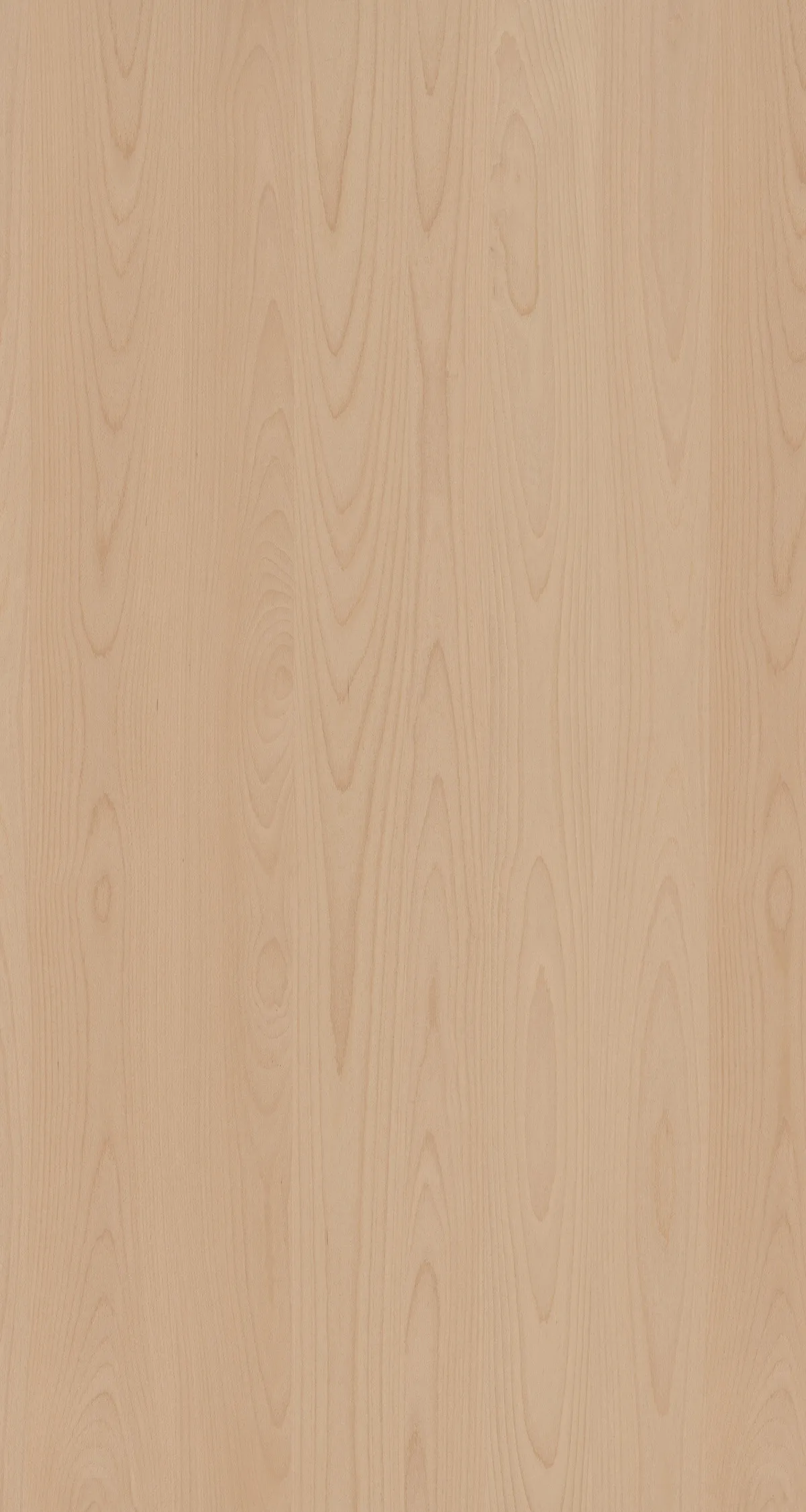 \\Ad.wurzbacher.de\systems\Allgeier\Shopbilder\Holz- und Plattenwerkstoffe\Kaindl\Furnierte Platten\Furnierplatte Buche gedämpft.jpg