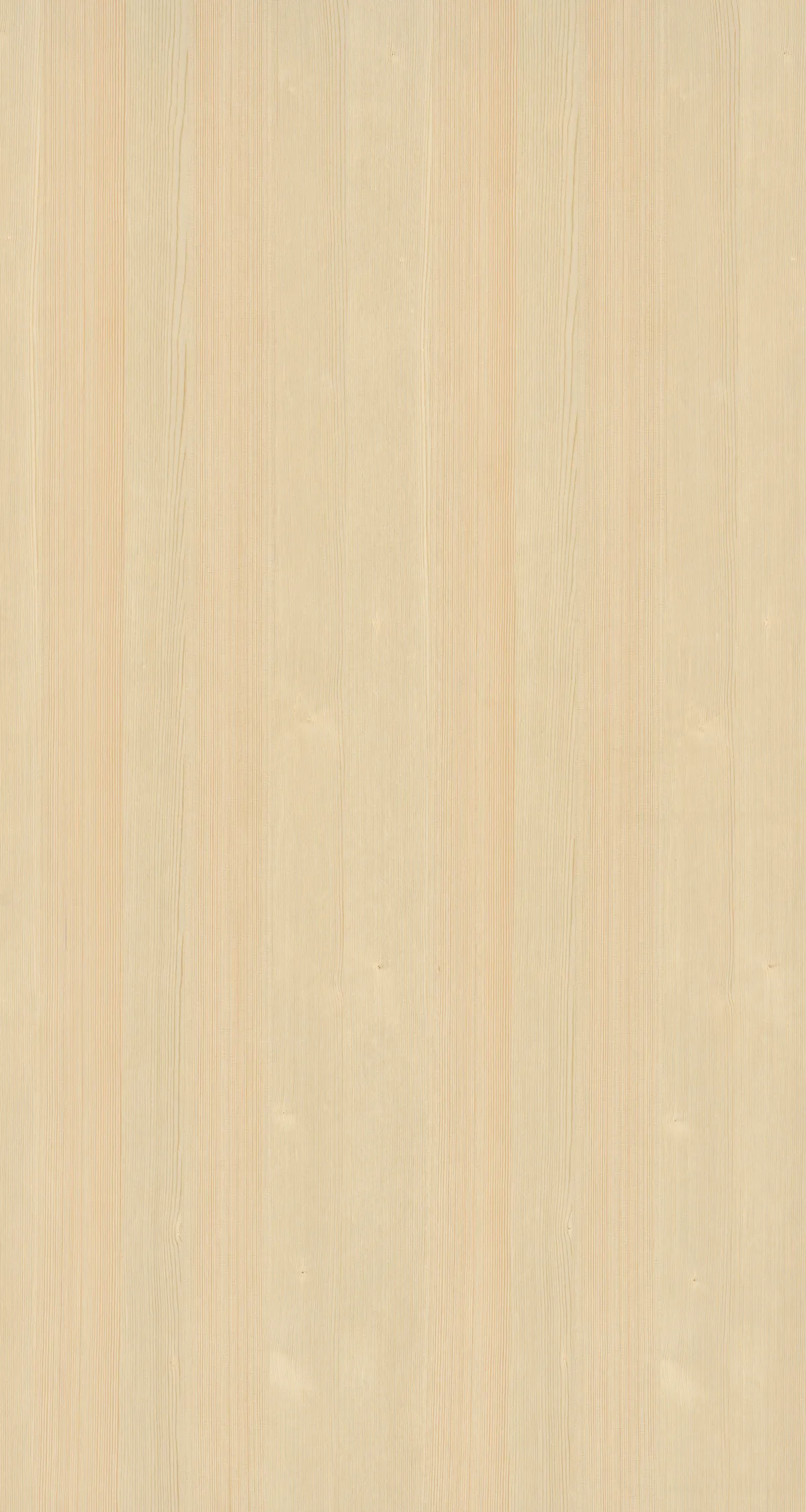 \\Ad.wurzbacher.de\systems\Allgeier\Shopbilder\Holz- und Plattenwerkstoffe\Kaindl\Furnierte Platten\Furnierplatte Fichte astfrei (1).jpg