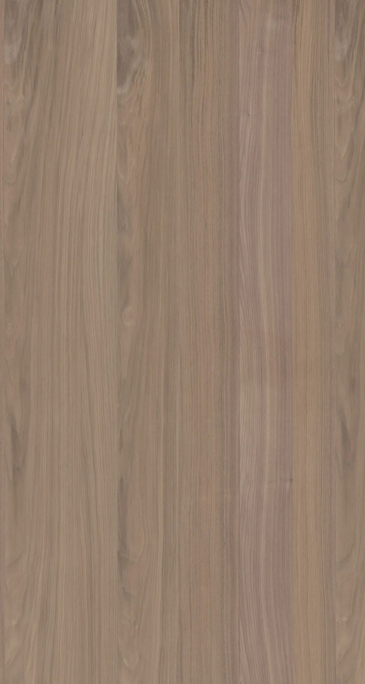 \\Ad.wurzbacher.de\systems\Allgeier\Shopbilder\Holz- und Plattenwerkstoffe\Kaindl\Furnierte Platten\Furnierplatte Nussbaum.jpg