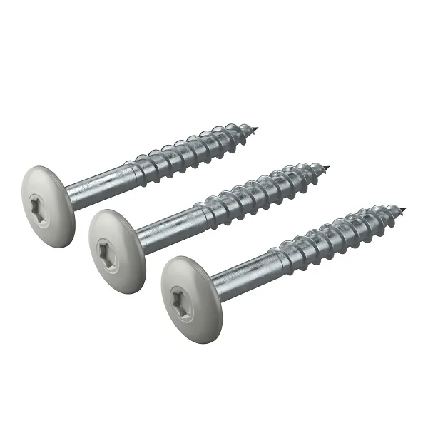 4,8x38mm A2 Fassadenschraube