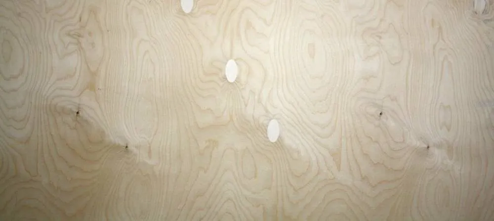 \\Ad.wurzbacher.de\systems\Allgeier\ShopBilder\Holz- und Plattenwerkstoffe\SHZ\Russ. Birke Multiplex BB-BB.jpg