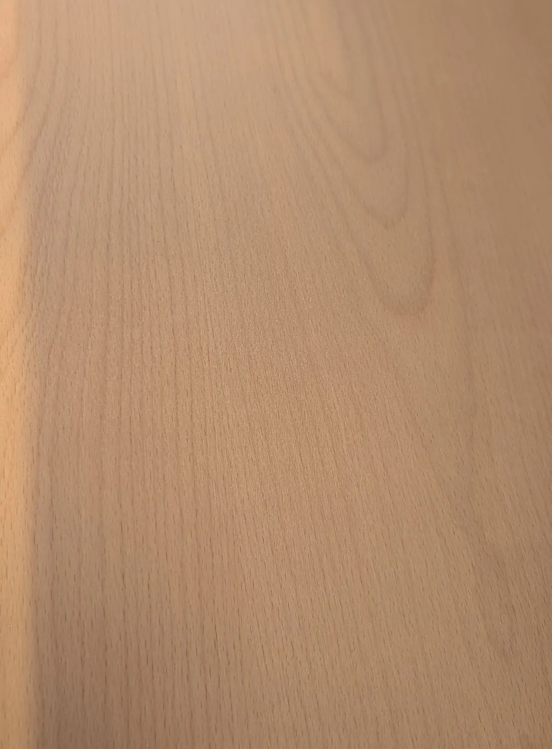 5mm Furnierplatte Buche