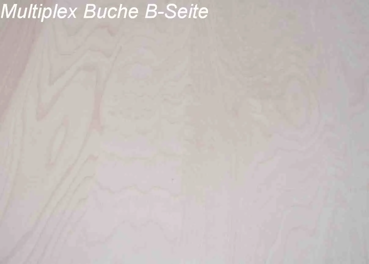 40mm Multiplex Buche ged.  250x150cm